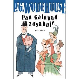 Pan Galahad zasahuje - Pelham Grenvill Wodehouse