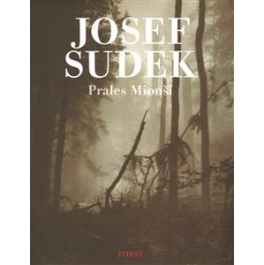 Prales Mionší - Josef Sudek