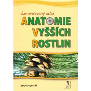Komentovaný atlas anatomie vyšších rostlin - Jaroslav Jurčák