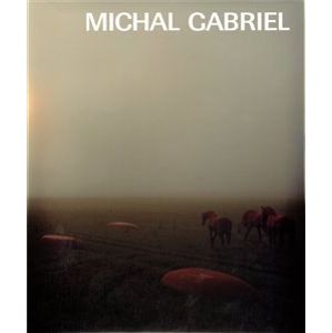 Michal Gabriel
