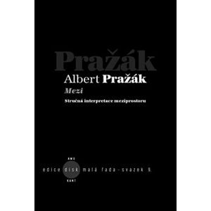Mezi. Stručná interpretace meziprostoru - Albert Pražák