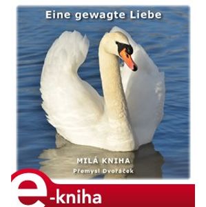 Eine gewagte Liebe - Přemysl Dvořáček e-kniha