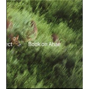 Book on Ahae. So Simple, so Beautiful, so Perfect - Milan Knížák