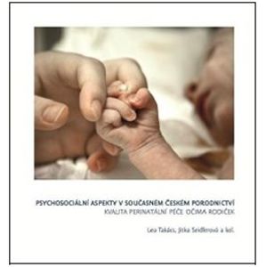 Psychosociální aspekty v současném českém porodnictví. Kvalita perinatální péče očima rodiček