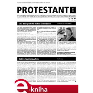 Protestant 2013/2 e-kniha