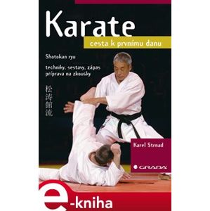 Karate. cesta k prvnímu danu - Karel Strnad e-kniha