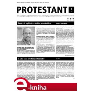 Protestant 2013/3 e-kniha