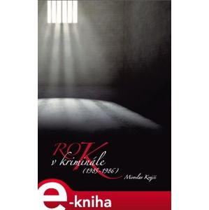 Rok v kriminále - Miroslav Krejčí e-kniha