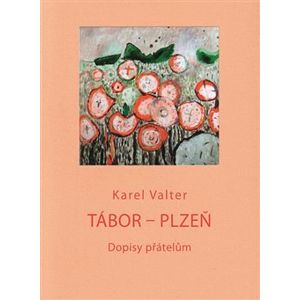 Tábor - Plzeň. Dopisy přátelům - Karel Valter