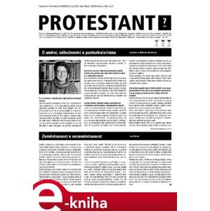 Protestant 2013/7 e-kniha