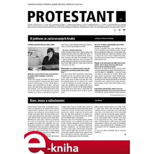 Protestant 2013/9 e-kniha