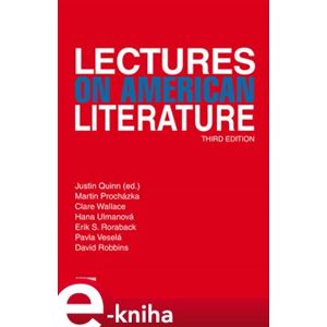Lectures on American literature e-kniha