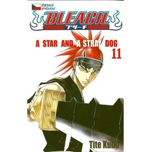 Bleach 11: A Star and a Stray Dog - Tite Kubo