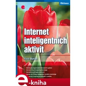 Internet inteligentních aktivit - Pavel Burian e-kniha