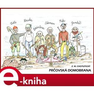 Prčovská domobrana - Z. M. Chotutický e-kniha