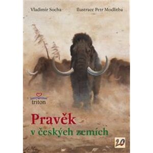 Pravěk v českých zemích - Vladimír Socha
