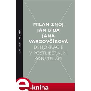 Demokracie v postliberální konstelaci - Milan Znoj, Jana Vargovčíková, Jan Bíba e-kniha