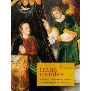 Trans montes. Podoby středověkého umění v severozápadních Čechách