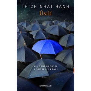 Úsilí. Hledání radosti a smyslu v práci - Thich Nhat Hanh
