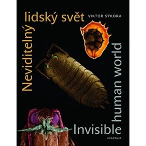 Neviditelný lidský svět. Invisible human world - Viktor Sýkora