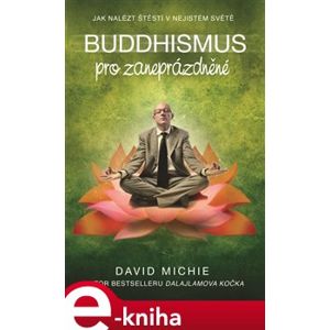 Buddhismus pro zaneprázdněné. Jak nalézt štěstí v nejistém světě - David Michie e-kniha