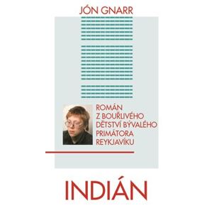 Indián. Román z bouřlivého dětství bývalého primátora Reykjavíku - Jón Gnarr