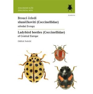 Brouci čeledi slunéčkovití (Coccinellidae) / Ladybird beetles (Coccinellidae). střední Evropy / of Central Europe - Oldřich Nedvěd