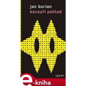 Kocouří pohled. a jiná vyprávění z tohoto světa (2012-2015) - Jan Burian e-kniha