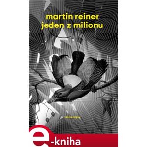Jeden z milionu - Martin Reiner e-kniha