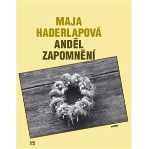Anděl zapomnění - Maja Haderlapová