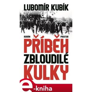 Příběh zbloudilé kulky - Lubomír Kubík e-kniha