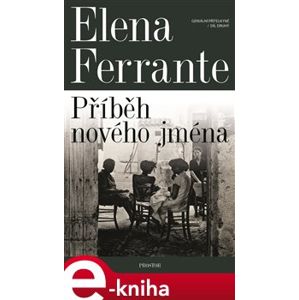 Geniální přítelkyně 2 - Příběh nového jména. Díl druhý - Elena Ferrante e-kniha