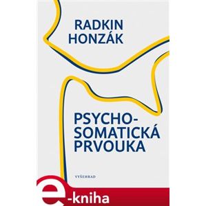 Psychosomatická prvouka - Radkin Honzák e-kniha