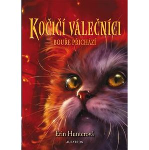 Kočičí válečníci (4) - Bouře přichází - Erin Hunterová