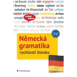 Německá gramatika rychlostí blesku - Sarah Fleer