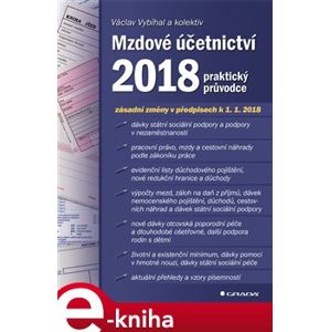 Mzdové účetnictví 2018. praktický průvodce - Václav Vybíhal e-kniha