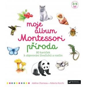 Moje album Montessori - Příroda. 80 kartiček k objevování živočichů a rostlin - Adeline Charneau