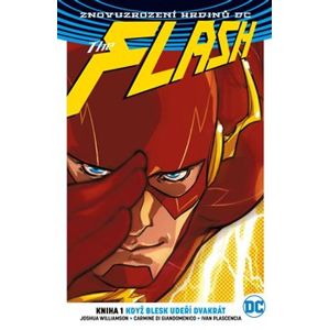 Flash 1: Když blesk udeří dvakrát. Znovuzrození hrdinů DC - Joshua Williamson