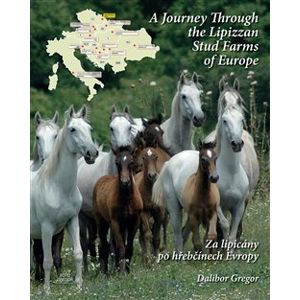 Za lipicány po hřebčínech Evropy. A Journey Through the Lipizzan Stud Farms of Europe - Dalibor Gregor