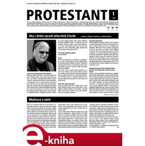 Protestant 2019/01 e-kniha