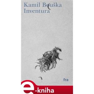 Inventura - Kamil Bouška