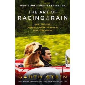 Art of Racing in the Rain - Garth Stein