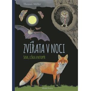 Zvířata v noci. Sova, Liška a Netopýr - Thomas Müller