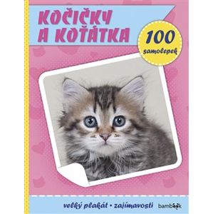 Kočičky a koťátka. Plakát a 100 samolepek - kolektiv autorů
