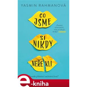 Co jsme si nikdy neřekli - Yasmin Rahmanová e-kniha