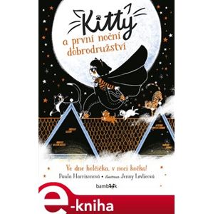 Kitty a první noční dobrodružství - Paula Harrisonová e-kniha