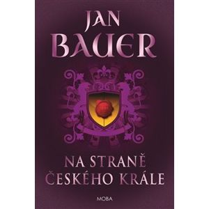 Na straně českého krále - Jan Bauer