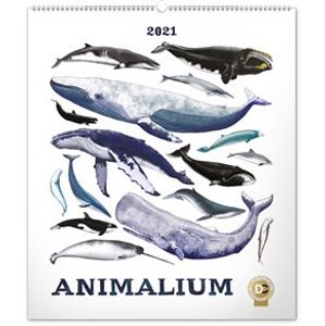 Nástěnný kalendář Animalium – Lucie Jenčíková 2021, 48 × 56 cm