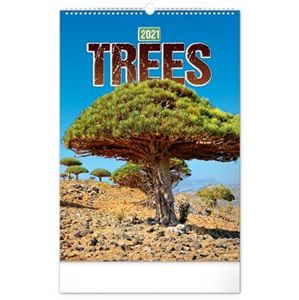Nástěnný kalendář Stromy 2021, 33 × 46 cm