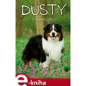 Dusty: V nebezpečí - Jan Andersen e-kniha